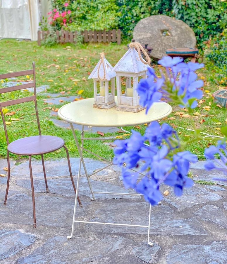 Guest House Antico Frantoio Pietrasanta Affittacamere מראה חיצוני תמונה