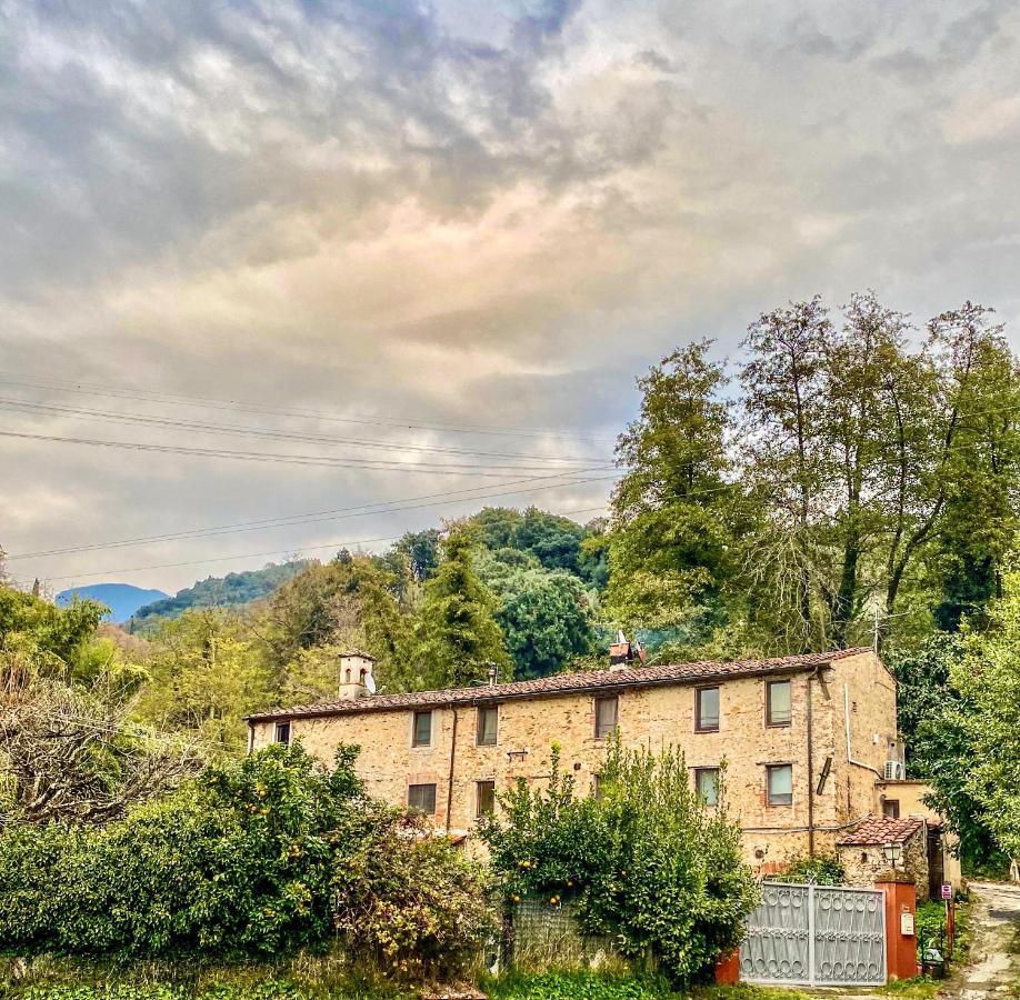 Guest House Antico Frantoio Pietrasanta Affittacamere מראה חיצוני תמונה