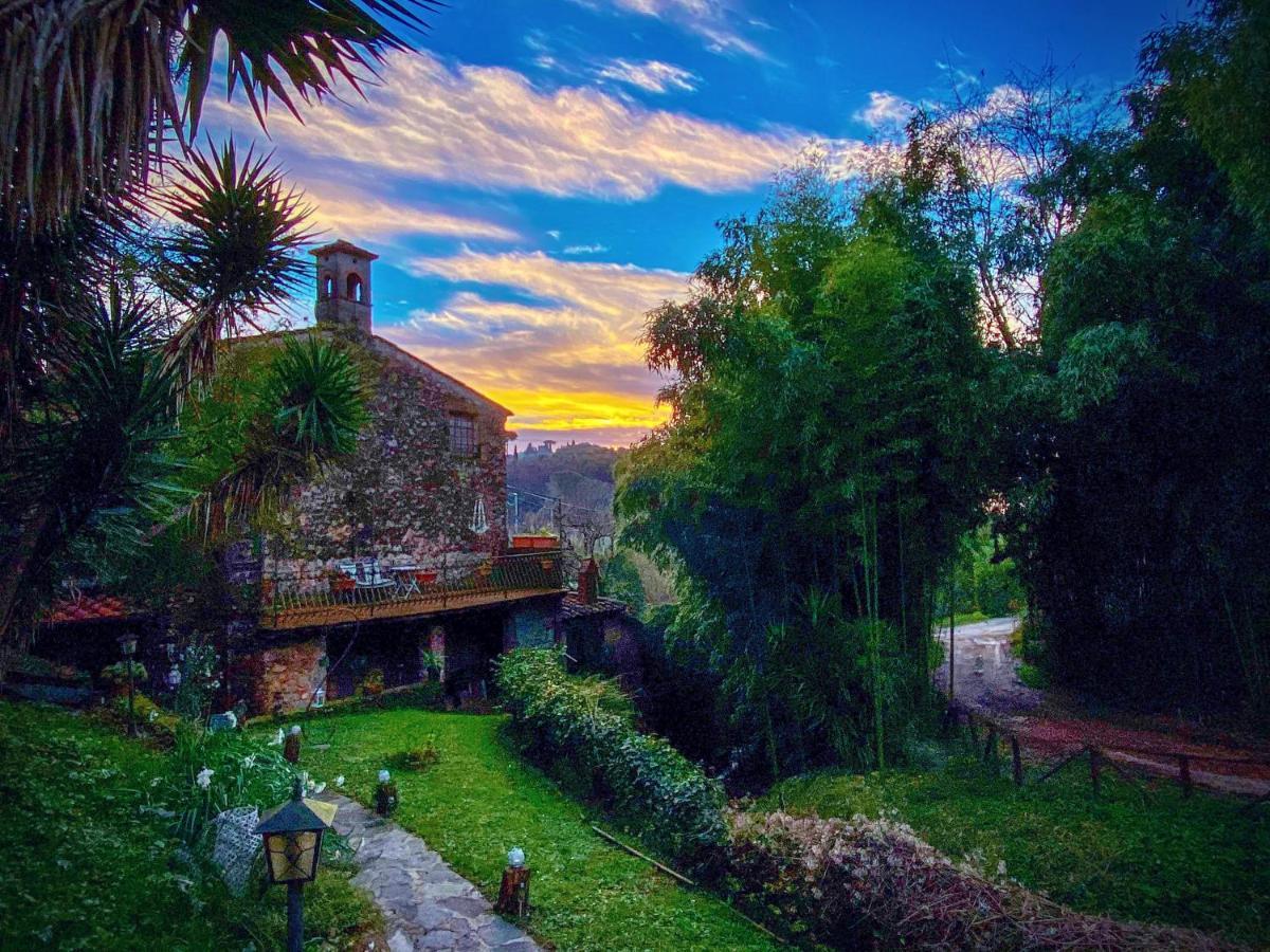 Guest House Antico Frantoio Pietrasanta Affittacamere מראה חיצוני תמונה