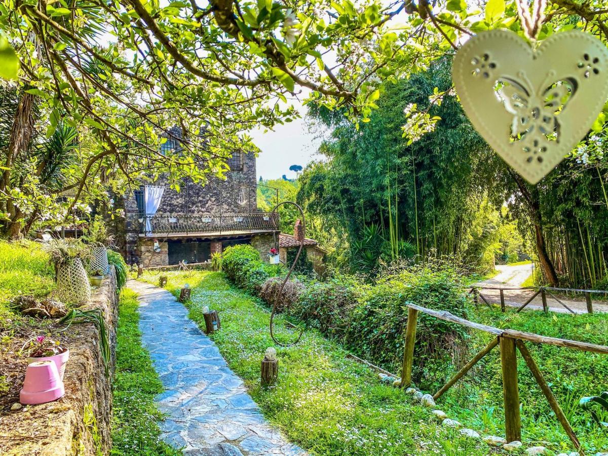 Guest House Antico Frantoio Pietrasanta Affittacamere מראה חיצוני תמונה
