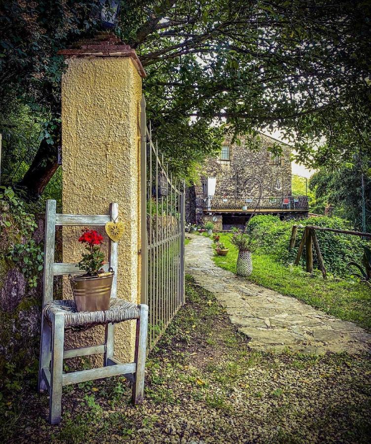 Guest House Antico Frantoio Pietrasanta Affittacamere מראה חיצוני תמונה