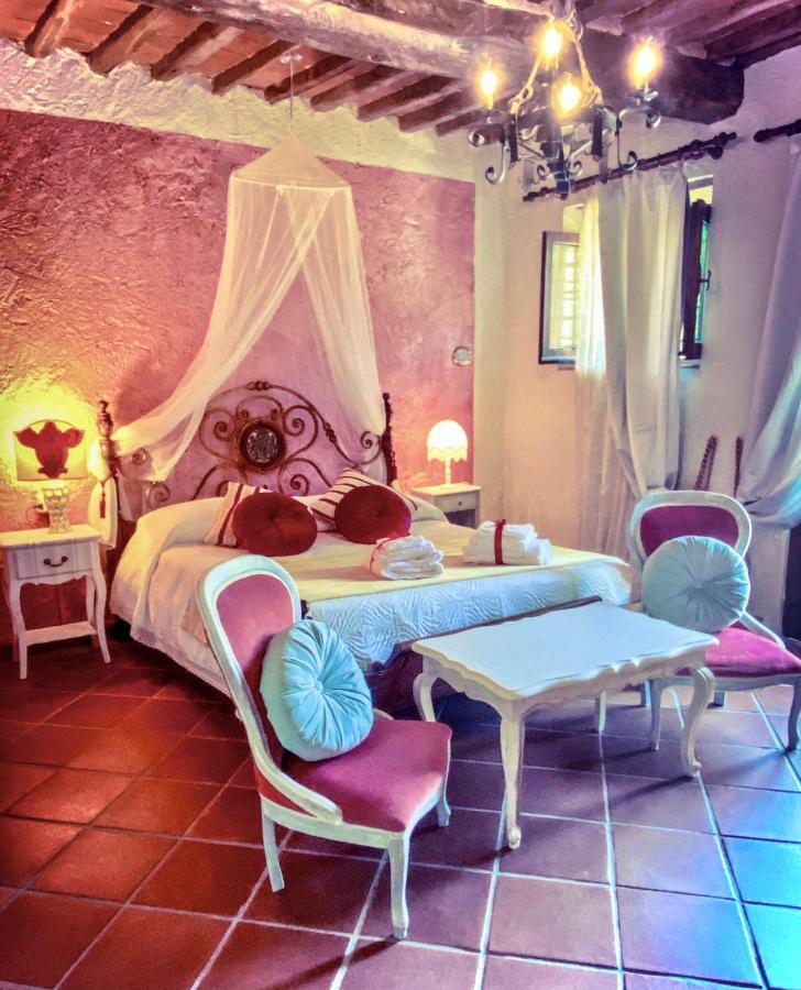 Guest House Antico Frantoio Pietrasanta Affittacamere מראה חיצוני תמונה
