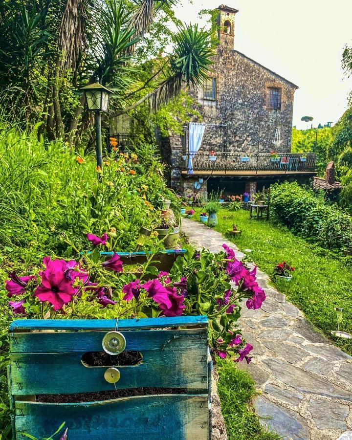Guest House Antico Frantoio Pietrasanta Affittacamere מראה חיצוני תמונה