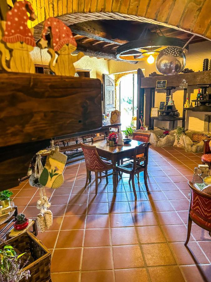 Guest House Antico Frantoio Pietrasanta Affittacamere מראה חיצוני תמונה