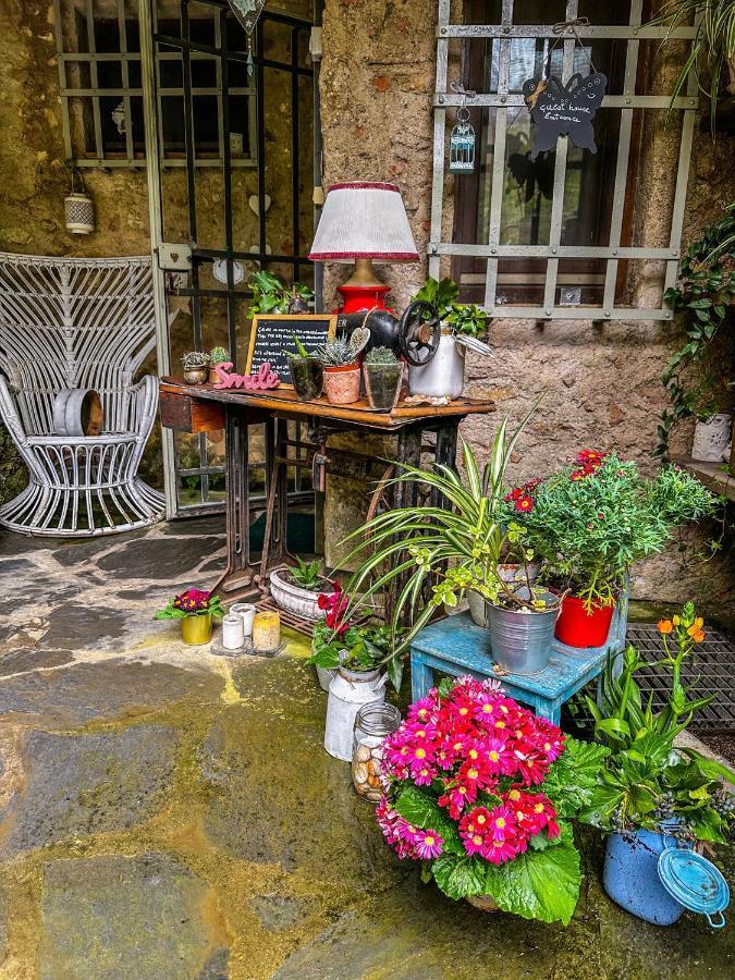Guest House Antico Frantoio Pietrasanta Affittacamere מראה חיצוני תמונה