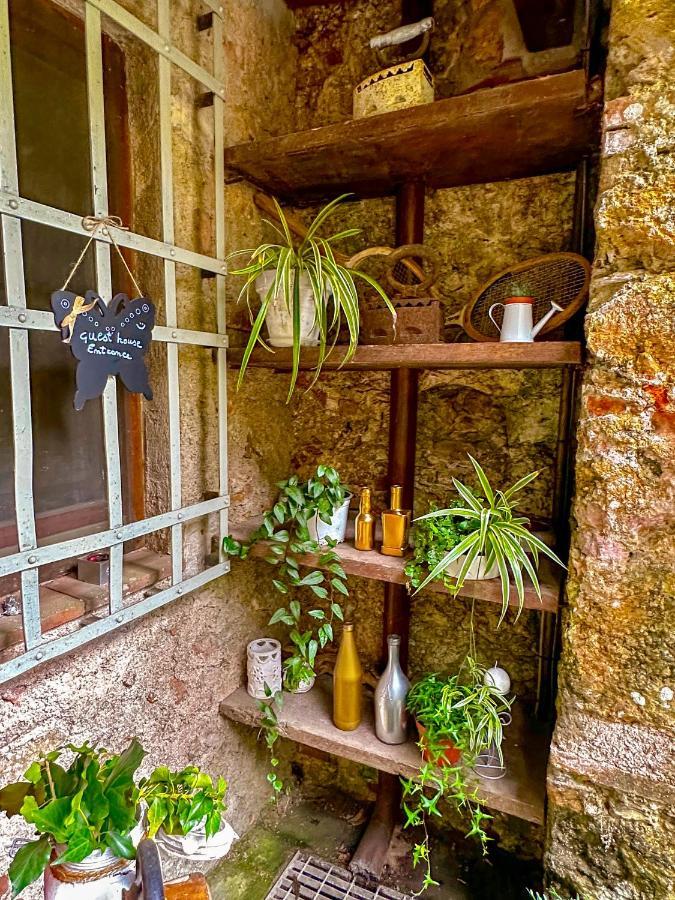 Guest House Antico Frantoio Pietrasanta Affittacamere מראה חיצוני תמונה