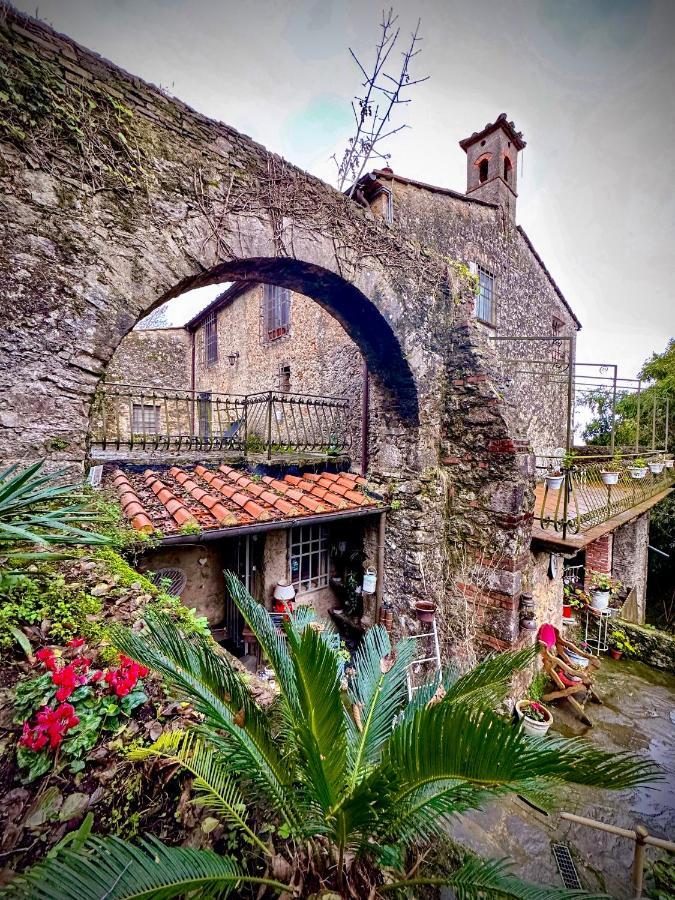 Guest House Antico Frantoio Pietrasanta Affittacamere מראה חיצוני תמונה