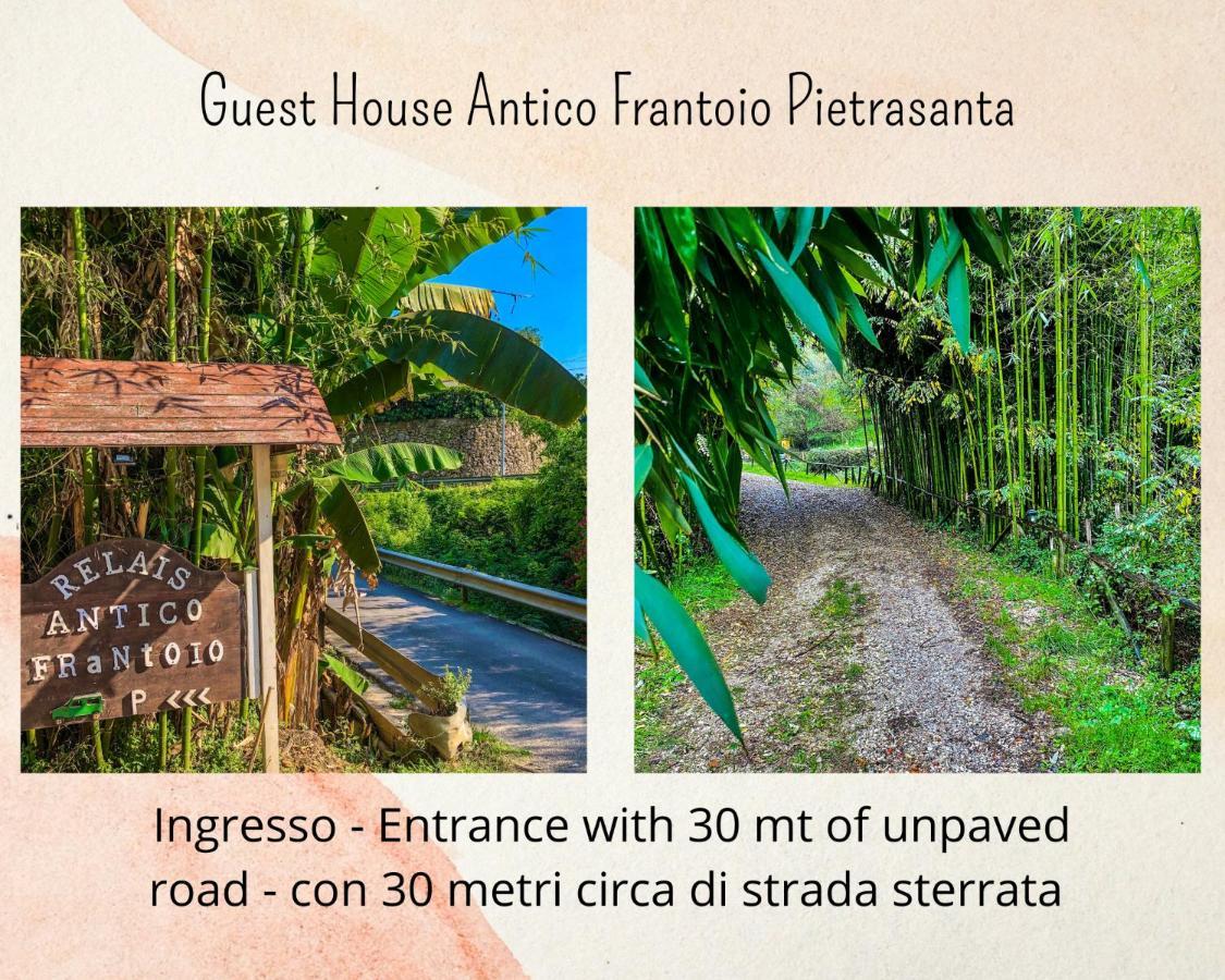 Guest House Antico Frantoio Pietrasanta Affittacamere מראה חיצוני תמונה