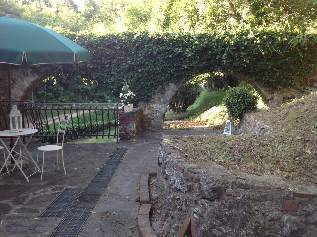 Guest House Antico Frantoio Pietrasanta Affittacamere מראה חיצוני תמונה