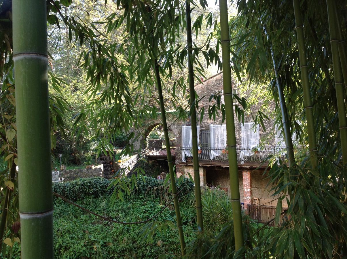 Guest House Antico Frantoio Pietrasanta Affittacamere מראה חיצוני תמונה